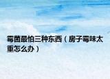 霉菌最怕三种东西（房子霉味太重怎么办）
