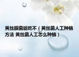 黄丝膜菌能吃不（黄丝菌人工种植方法 黄丝菌人工怎么种植）