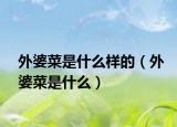 外婆菜是什么样的（外婆菜是什么）