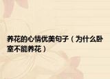 养花的心情优美句子（为什么卧室不能养花）