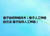 榛子如何种植技术（榛子人工种植的方法 榛子如何人工种植）