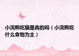 小浣熊吃猫是真的吗（小浣熊吃什么食物为主）