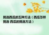 挑选西瓜的五种方法（西瓜怎样挑选 西瓜的挑选方法）