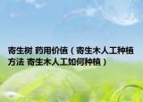 寄生树 药用价值（寄生木人工种植方法 寄生木人工如何种植）
