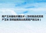 高产玉米栽培关键技术（怎样挑选优质高产玉米 怎样能挑选出优质高产的玉米）