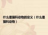 什么是猫科动物的定义（什么是猫科动物）