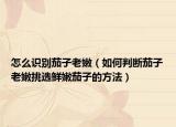 怎么识别茄子老嫩（如何判断茄子老嫩挑选鲜嫩茄子的方法）