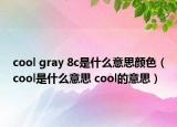 cool gray 8c是什么意思颜色（cool是什么意思 cool的意思）