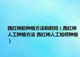 西红柿的种植方法和时间（西红柿人工种植方法 西红柿人工如何种植）