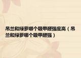 吊兰和绿萝哪个吸甲醛强度高（吊兰和绿萝哪个吸甲醛强）