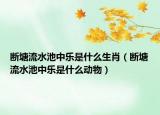 断塘流水池中乐是什么生肖（断塘流水池中乐是什么动物）