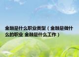 金融是什么职业类型（金融是做什么的职业 金融是什么工作）