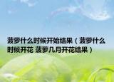 菠萝什么时候开始结果（菠萝什么时候开花 菠萝几月开花结果）