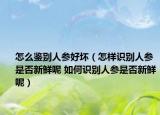 怎么鉴别人参好坏（怎样识别人参是否新鲜呢 如何识别人参是否新鲜呢）