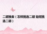 二胡独奏（怎样挑选二胡 如何挑选二胡）