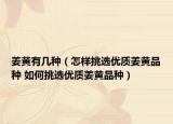 姜黄有几种（怎样挑选优质姜黄品种 如何挑选优质姜黄品种）