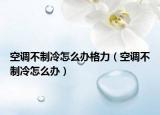 空调不制冷怎么办格力（空调不制冷怎么办）