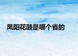 凤阳花鼓是哪个省的