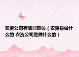 农资公司有哪些职位（农资是做什么的 农资公司是做什么的）