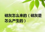 硅灰怎么来的（硅灰是怎么产生的）