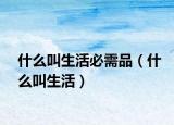 什么叫生活必需品（什么叫生活）