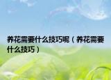 养花需要什么技巧呢（养花需要什么技巧）
