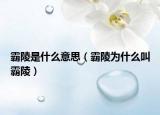 霸陵是什么意思（霸陵为什么叫霸陵）