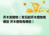 乔木类植物（常见的乔木植物有哪些 乔木植物有哪些）