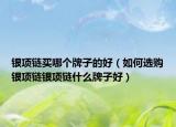 银项链买哪个牌子的好（如何选购银项链银项链什么牌子好）
