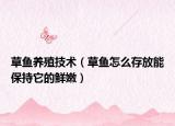 草鱼养殖技术（草鱼怎么存放能保持它的鲜嫩）