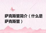萨克斯管简介（什么是萨克斯管）