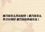 康乃馨怎么养比较好（康乃馨怎么养才长得好 康乃馨的养殖方法）