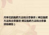月季花的施肥方法和注意事项（豌豆施肥方法和注意事项 豌豆施肥方法和注意事项有哪些）
