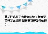 葵花籽吃多了有什么坏处（新鲜葵花籽怎么处理 新鲜葵花籽如何处理）