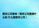 期货公司是啥（期货公司是做什么的 什么是期货公司）