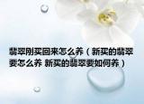翡翠刚买回来怎么养（新买的翡翠要怎么养 新买的翡翠要如何养）