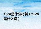 t12a是什么材料（t12a是什么钢）
