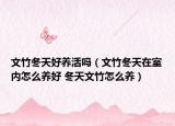文竹冬天好养活吗（文竹冬天在室内怎么养好 冬天文竹怎么养）