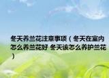 冬天养兰花注意事项（冬天在室内怎么养兰花好 冬天该怎么养护兰花）
