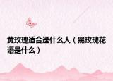 黄玫瑰适合送什么人（黑玫瑰花语是什么）