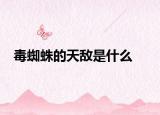 毒蜘蛛的天敌是什么