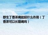 野生丁香茶喝能起什么作用（丁香茶可以长期喝吗）