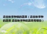 适合秋季种植的蔬菜（适合秋季种的蔬菜 适合秋季种的蔬菜有哪些）