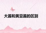 大酱和黄豆酱的区别