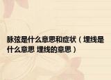 脉弦是什么意思和症状（埋线是什么意思 埋线的意思）