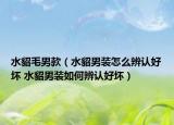 水貂毛男款（水貂男装怎么辨认好坏 水貂男装如何辨认好坏）