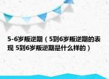 5-6岁叛逆期（5到6岁叛逆期的表现 5到6岁叛逆期是什么样的）