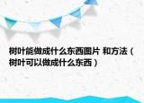 树叶能做成什么东西图片 和方法（树叶可以做成什么东西）