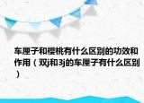 车厘子和樱桃有什么区别的功效和作用（双j和3j的车厘子有什么区别）