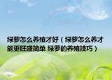 绿萝怎么养殖才好（绿萝怎么养才能更旺盛简单 绿萝的养殖技巧）